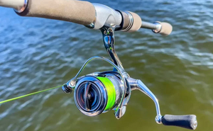 Navigating the World of Fishing Reels: A Buyer's Guide